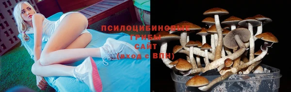 2c-b Богородицк